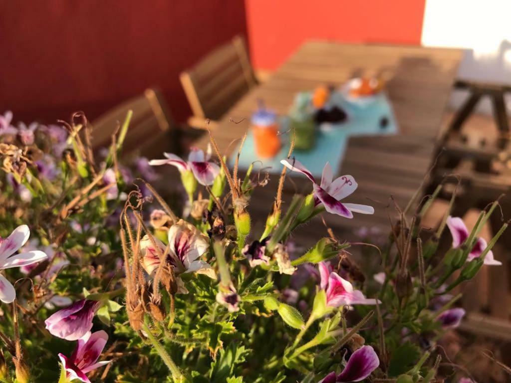 Tammitu Otel Ragusa Dış mekan fotoğraf
